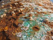 Corrosion caused partly by barnacles