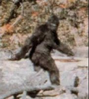 Frame 352 from the Patterson-Gimlin film