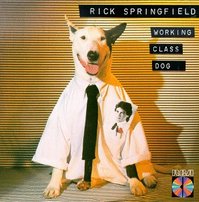 Rick Springfield's dog Ronnie, a bull terrier/Great Dane mix appeared on several of his album covers.