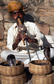 A snake charmer during a performance in Jaipur, India