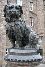 A statue of Greyfriars Bobby, a famously loyal Skye Terrier
